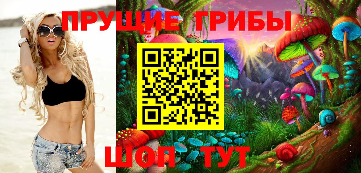 Шатура  Галлюциногенные грибы ЛСД  Вход с VPN 